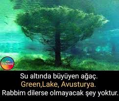 Nazgur Adli Kullanicinin Ibret Insanlik Panosundaki Pin Biliyor Muydunuz Bilgi Ilham Veren Sanat