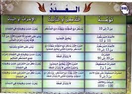 قواعد اللغة العربية للمبتدئين العدد Arabic Lessons Learning Arabic Arabic Language