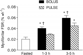 Research Review Fast Vs Slow Whey For Protein Synthesis