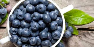 Yaban mersini fidanı (vaccinium sect. Yaban Mersini Neye Iyi Gelir