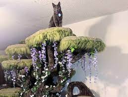 Cat tree house cat tree condo cat condo enchanted tree diy cat tree cat towers cat playground cat enclosure paludarium. Adorable Special Needs Cat With Big Fangs Sits Atop A Magnificently Oversized Enchanted Forest Cat Tree