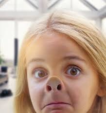 Singener Wochenblatt vom 29. Dezember 2015