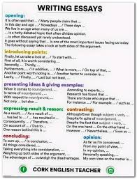 Essay Wrightessay University Assignments Help Paragraph Content Essay On Cause And Effect Alexander Pope Ne Essay Writing Skills Ielts Writing Essay Tips