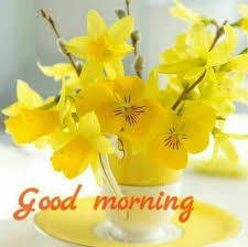 Check spelling or type a new query. 25 Wallpaper Ideas Good Morning Greetings Morning Greeting Good Morning Flowers