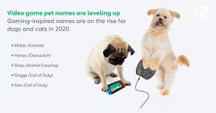 Her power to take on a human form has proven to be very useful. Top 100 Most Popular Dog Names In 2020 Rover Com