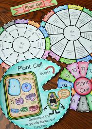 Plant And Animal Cell Foldable Template Google Da Ara Buku Buku Catatan Biologi