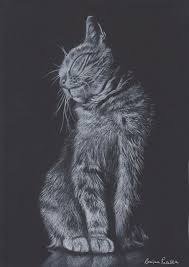 Romina Pacella Arte Gatto Nero Disegni Disegnare Animali
