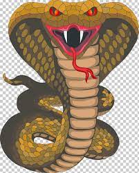 Cobra Png Cobra Desenho De Cobra Cobras Desenho