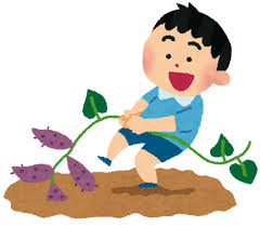 芋掘りのイラスト | かわいいフリー素材集 いらすとや