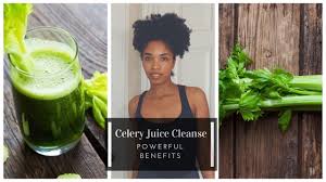Carrot juice benefits for the health of hair. Celery Juice Benefits For Hair Growth Facts Recipes Side Effects