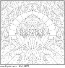 See more ideas about coloring pages, adult coloring pages, coloring books. Fantasy Lotus Flower Vector Photo Free Trial Bigstock
