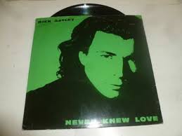 VTG POP ROCK VINYL RECORD PROMO ENID LEVINE American Love LP Record 1983  RARE EX