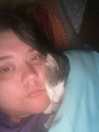 Adoptable dog named Cookie