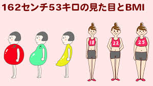 162 センチ 53 キロ 芸能人