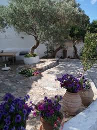 We include this holiday home on our exclusive list of the most beautiful places to stay in greece. Olive Picking Holidays In Syros Greece The Good Life Greece