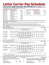 City Carrier Resume Samples | Qwikresume