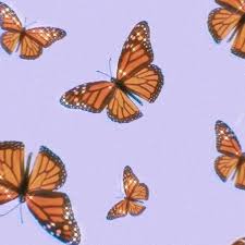 Butterfly is an aesthetic based on the insect of the same name. Image About Aesthetic In Background By Private User