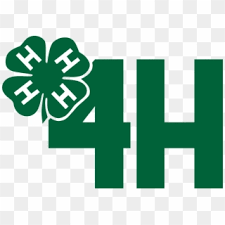 Maybe you would like to learn more about one of these? Black Outline Clover 4 H Emblem White Hd Png Download 1040x1033 503864 Pngfind