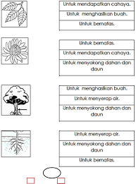 Kami menangangi semua jenis kandungan berkaitan dengan farmaseutikal, sains hayat dan penjagaan kesihatan dalam bidang yang sangat khusus ini. Latihan Sains Tahun 1 Pdf Pdf Txt