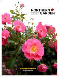 2021 Northern Garden Collection Reference Guide By P Ronald Issuu