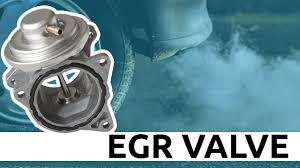 Image result for egr