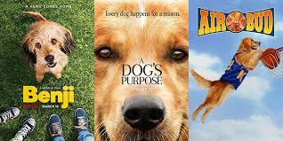 Are you an owner of a golden retriever puppy? 20 Best Dog Movies Top Pet Movies Of All Time