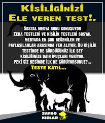 Pin On Testler