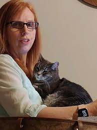 Female cat, missing from Lordswood area. She is neutered and microchipped  (although we are now wondering if the phone number is correct