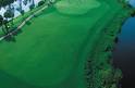 Halifax Plantation Golf Club in Ormond Beach | VISIT FLORIDA