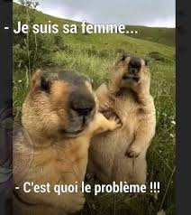 La marmotte 😂 #humour