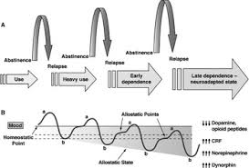 Image result for Addiction Pathophysiology