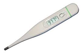 Equine Digital Thermometer With Beeper Chicksaddlery Com Horse Grooming Supplies Horse Health Horse Grooming
