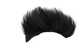 Cb Hair Png Hair Png Download Hair Photoshop Backgrounds