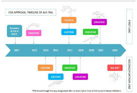 Image result for ALK Inhibitor