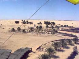 Ocotillo wells on the 'pumpkin patch' trail. Madness In The Desert Paris To Dakar Next Episode Air