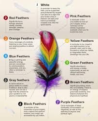 Birds are free to fly and they represent freedom, and birds are extremely. Finding A Feather Virily