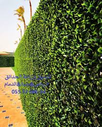 تنسيق حدائق بالعشب الصناعي حديقة سطح انجيلة عشب جداري على الجدران بالرياض 0553268634 instagram instagram photo world