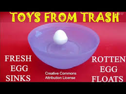 Fresh Egg Sinks Rotten Floats