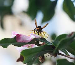 Don't miss Sophie Rain's Spiderman video