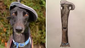 Maybe you would like to learn more about one of these? I Have Never Drawn In My Life But I Am Doing Crappy Pet Portraits To Raise Money For Charity 30 Pics Pet Portraits Dog Portraits All Animals Pictures