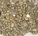 World's 1st Green Coffee Sorting Solution – avercasso | AI ...