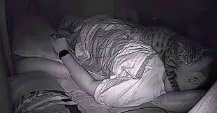 Her Gece Bogularak Uyaniyordu Eve Kamera Yerlestirdi