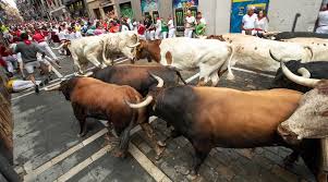 Los Cabestros En San Fermin Mas Seguridad Menos Espectaculo Noticias De San Fermin En Diario De Navarra