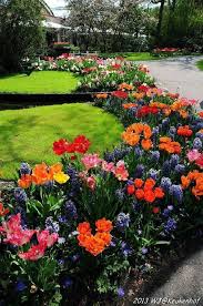 Pin By Kailynn Kuhn On Gardens And Dreams In 2020 Garden Flower Beds Beautiful Gardens Beautiful Flowers Garden