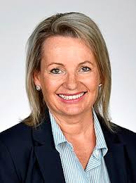 2025 Liberal Party of Australia leadership election