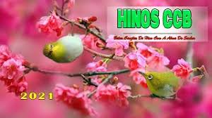 Hinos ccb cantados hinário 5 completo. Hinos Ccb Nghenhachay Net