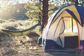 10 Best Fully Equipped Camping Sites Near Tokyo