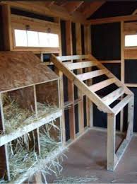Kombination Gartenhaus Huhnerstall Gartenhaus Huhnerstall Kombination Selbstgebaut If You Ha In 2020 Inside Chicken Coop Building A Chicken Coop Chicken Diy