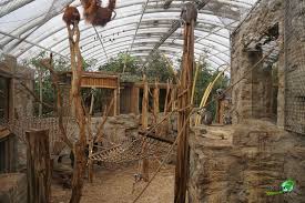 Zoom erlebniswelt is a dierentuin located in gelsenkirchen. Zoom Erlebniswelt Gelsenkirchen Schliesst Tierhauser Zoom Erlebniswelt
