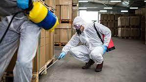 Rentokil pest control near you, effectively exterminate birds, rats, mice, bed bugs, cockroaches, and other pests across ireland. Commercial Pest Control Services For Local Businesses